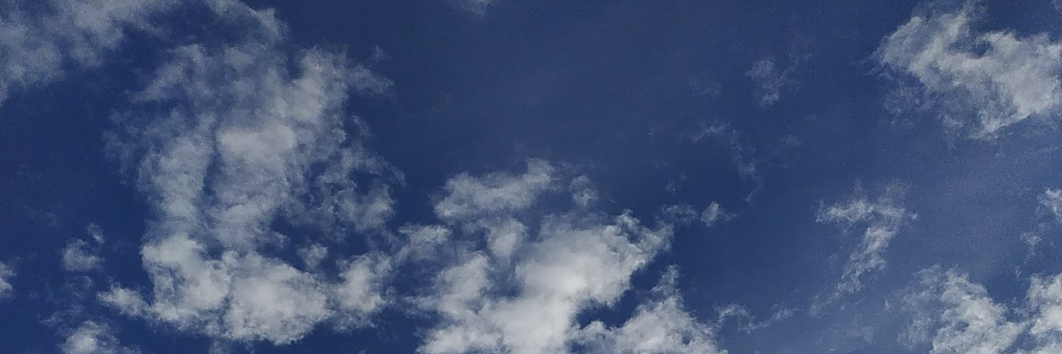 leix3a's profile header