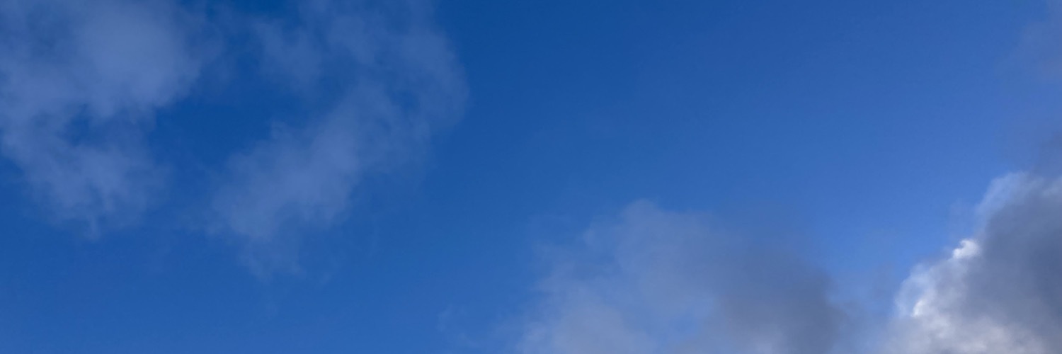 scott's profile header