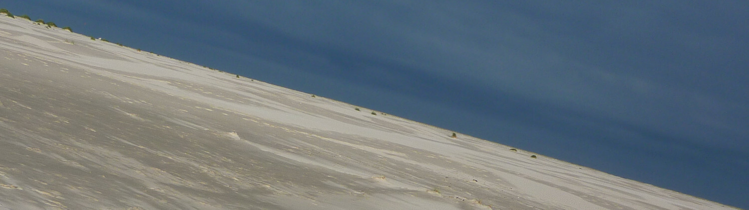 timetunnel's profile header