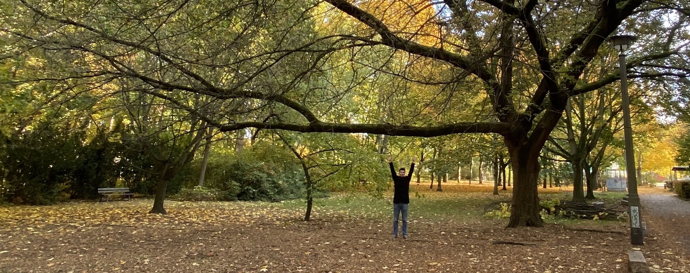 tootbaack's profile header