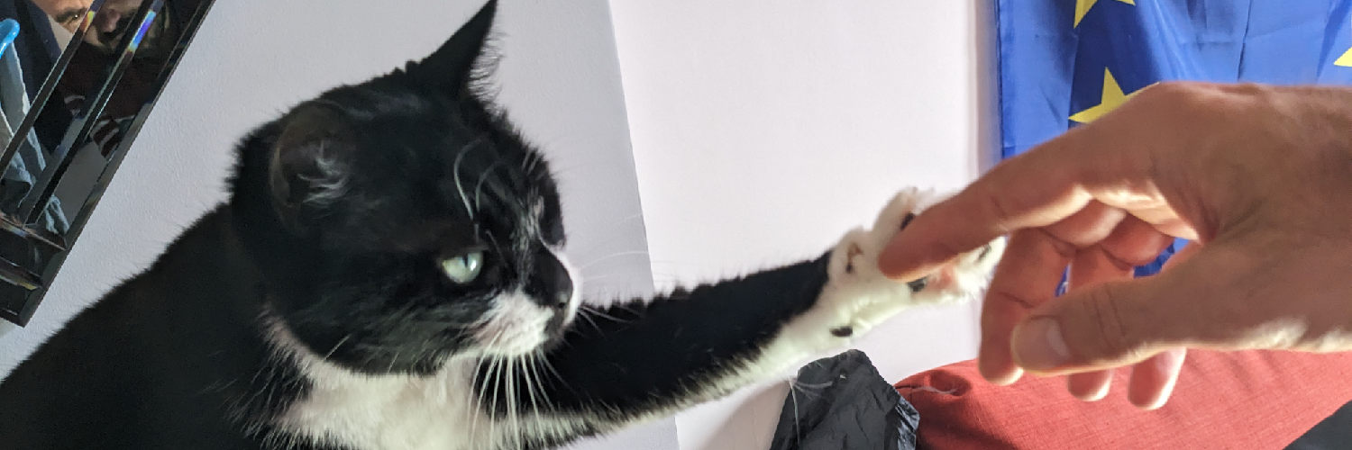 MrBerard's profile header