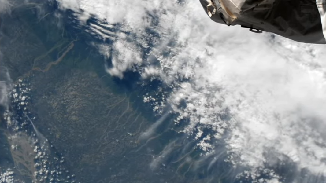 iss's profile header