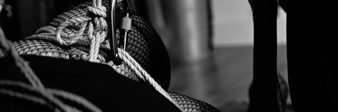 Tara's profile header