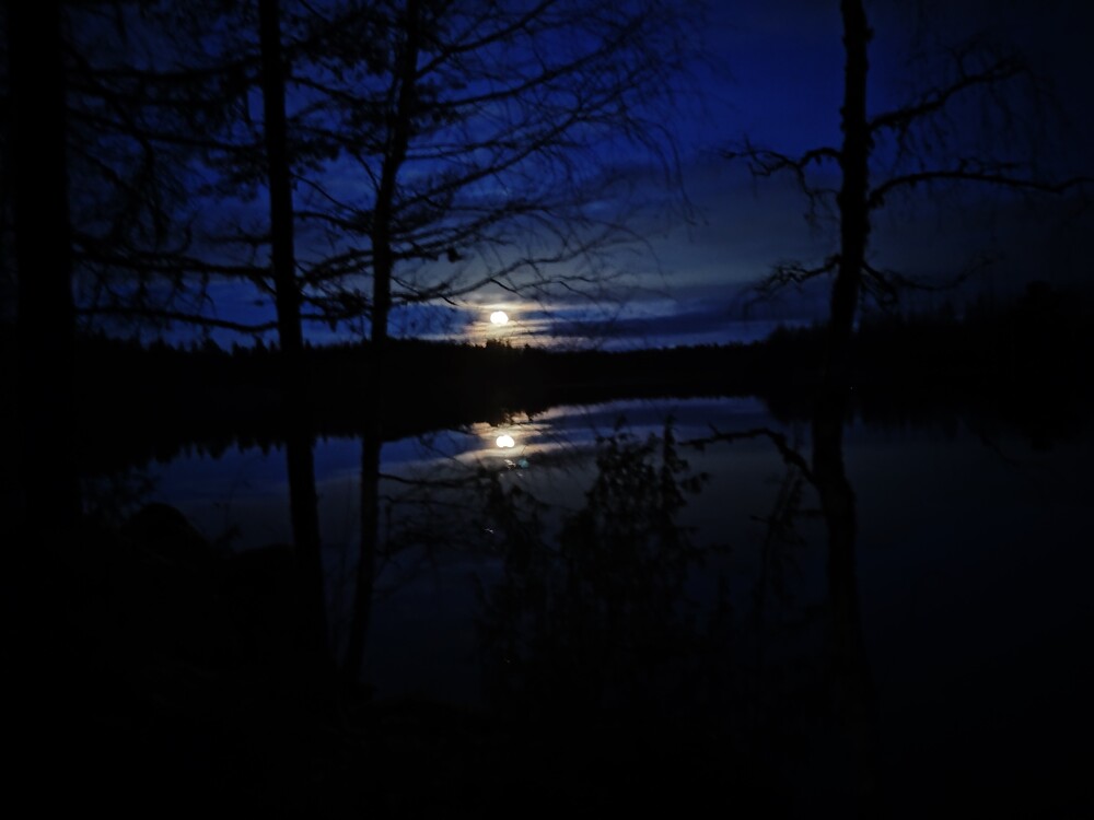 Hilmaimar's profile header