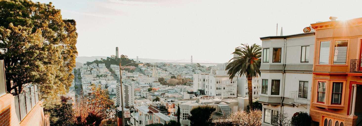 ariel's profile header