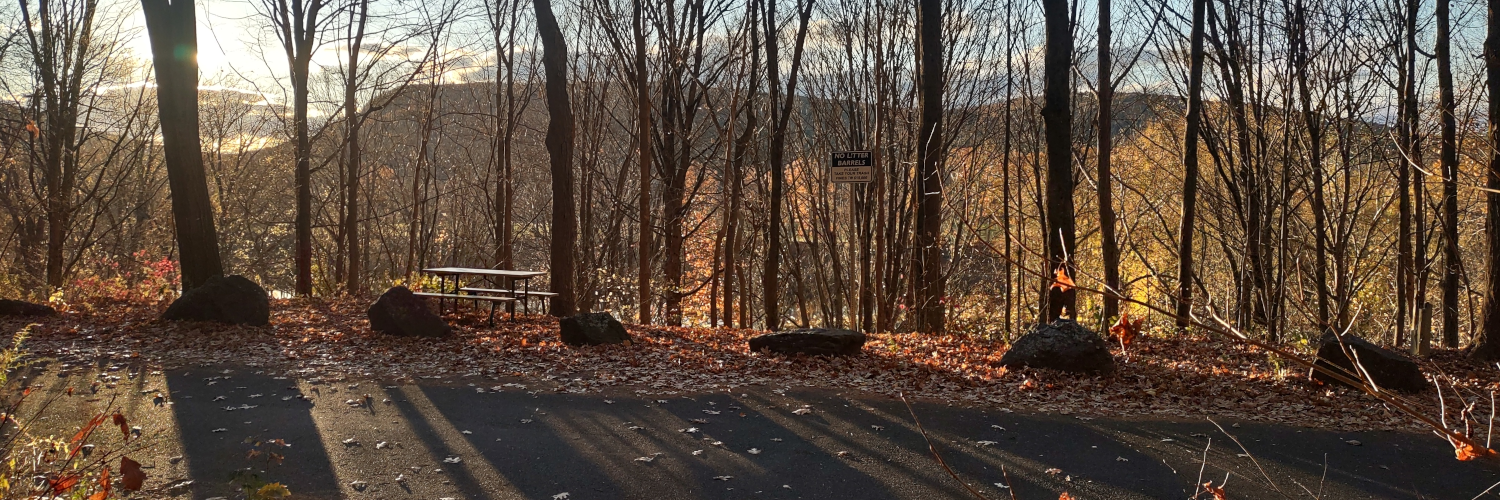 bweller's profile header