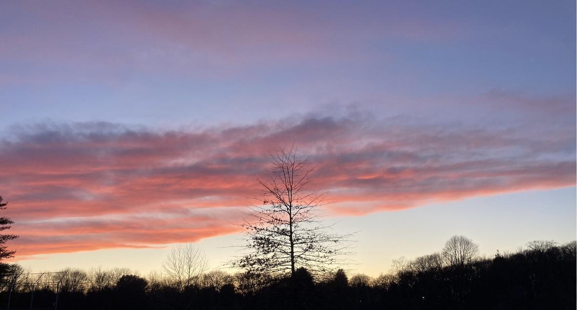 JJ's profile header
