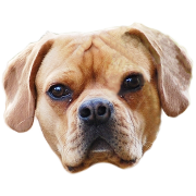 oskar