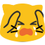 notlikemeowcry