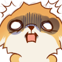 shibashock