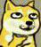 doge8