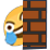 angercrywall