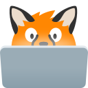 revblobfoxcomputerowo