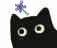 blackcat_11114