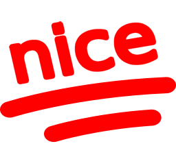 nice_100