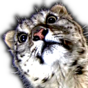 :whaaat: :whaaat: