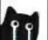 blackcat_11134