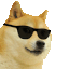 dance_cool_doge