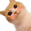 hicat