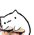 abongocat
