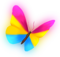 butterfly_pan