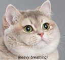 breathe