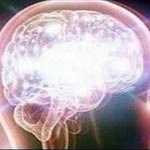 brain3