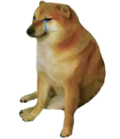 cheems