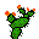 pricklypear