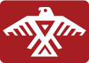 animikii2