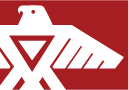 animikii3
