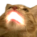 catPOWER