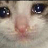 sad_cat
