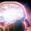 brain3