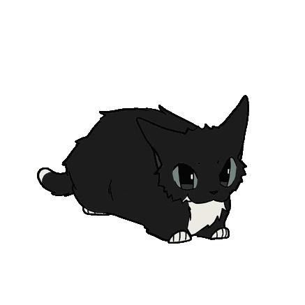 :maxwell_cat: