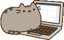 apusheencomputer