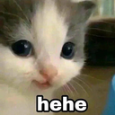 hehecat