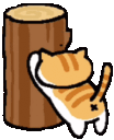 nekoatsumecatscratch