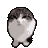 wawawawa