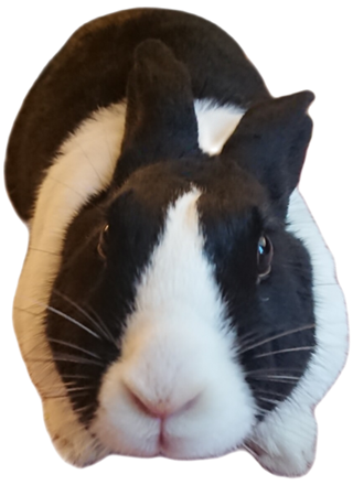 Penny2