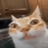 erm