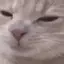 acat_chew