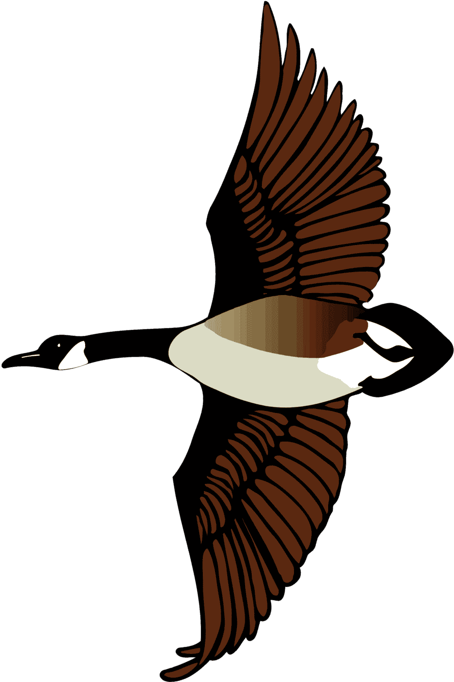 CANADAGO_PNG