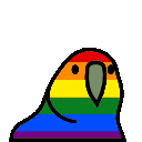 lgbtbird