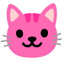 pinkcat_cat