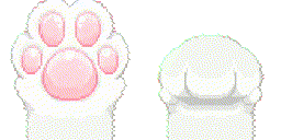 paws2