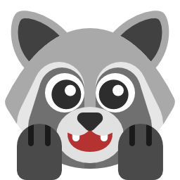 raccoon_aww
