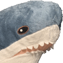 :blahaj: