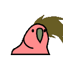 parrot_metal
