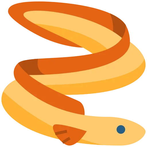 eel